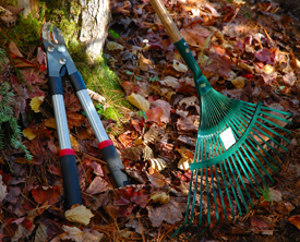 fall cleanup