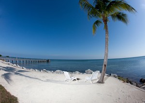 two white chairs under a palm tree in the florida keys
