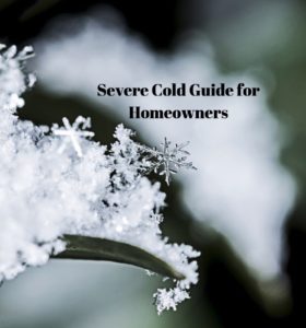 severe cold guide