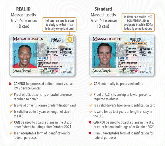 REAL ID vs standard license